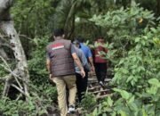 Diduga Adanya Korupsi Fantastis di Pengelolaan Tambak Udang Bengkalis, Kejari Bengkalis Turunkan Ahli Lingkungan dan Kehutanan Kelokasi